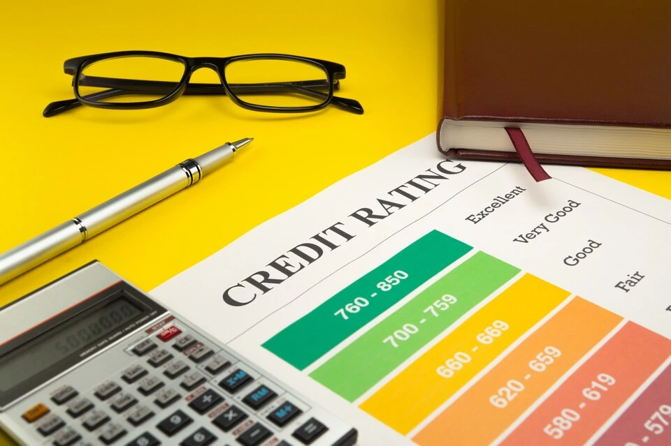 Credit History Check